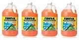 RainX 5061320 Windshield Washer Fluid 1 Gallon (4 Pack)