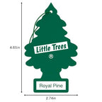 LITTLE TREES Car Air Freshener | Hanging Tree Provides Long Lasting Scent for Auto and Home | Royal Pine, 24 Air Fresheners