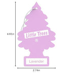 LITTLE TREES Car Air Freshener | Hanging Tree Provides Long Lasting Scent for Auto and Home | 24 Air Fresheners |Lavender