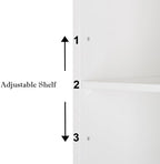 VINGLI Bathroom Wall Cabinet Wall Mount Mirrored Medicine Cabinet with Mirror Storage Organizer with Single Mirror Door and 2