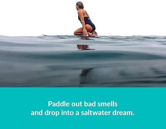 ulu Lagoon Hanging Car Air Freshener | Tropical Beach Coconut Surf Wax Scent Mini Wave | Long Lasting Car Freshener, Closet a