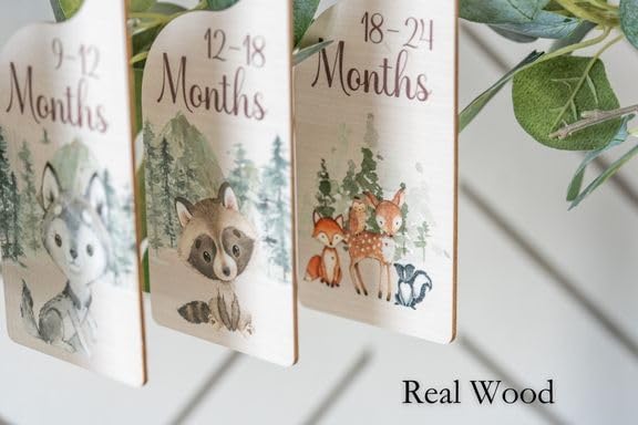 Baby Closet Dividers | Woodland Nursery Decor Closet Dividers for Baby Clothes | Hanging Wooden Baby Clothes Dividers for Clo