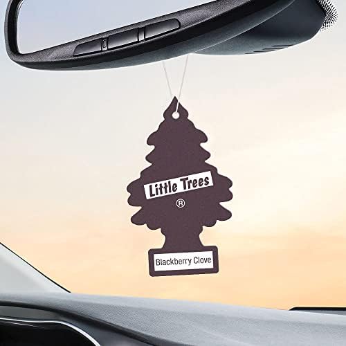 LITTLE TREES Car Air Freshener | Hanging Tree Provides Long Lasting Scent for Auto and Home | 24 Air Fresheners |Blackberry C