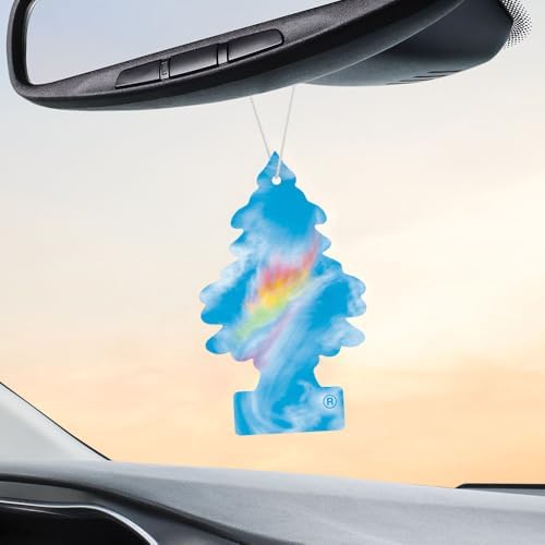 LITTLE TREES Car Air Freshener | Hanging Tree Provides Long Lasting Scent for Auto and Home | 24 Air Fresheners |Fire Rainbow