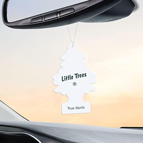 LITTLE TREES Car Air Freshener | Hanging Tree Provides Long Lasting Scent for Auto and Home | 24 Air Fresheners |True North