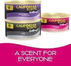Can Air Freshener and Odor Neutralizer by California Scents, Stocking Stuffers, Set of 12 Spillproof Cans for Home and Car, C