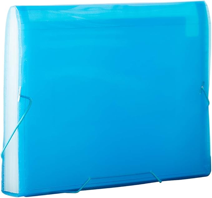 JAM PAPER Accordion Folders - 13 Pocket Plastic Expanding File - Letter Size - 9 x 13 - Blue Grid - Sold Individually