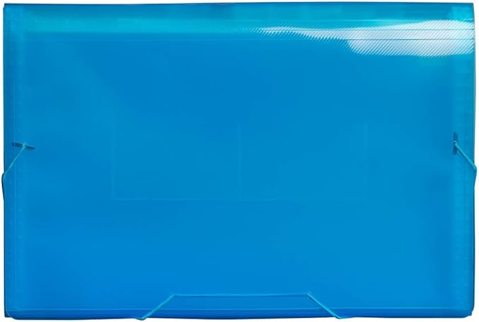 JAM PAPER Accordion Folders - 13 Pocket Plastic Expanding File - Legal Size - 10 x 15 - Blue - Sold Individually