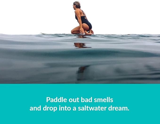 ulu Lagoon Hanging Car Air Freshener | Tropical Beach Coconut Surf Wax Scent Mini Wave | Long Lasting Car Freshener, Closet a