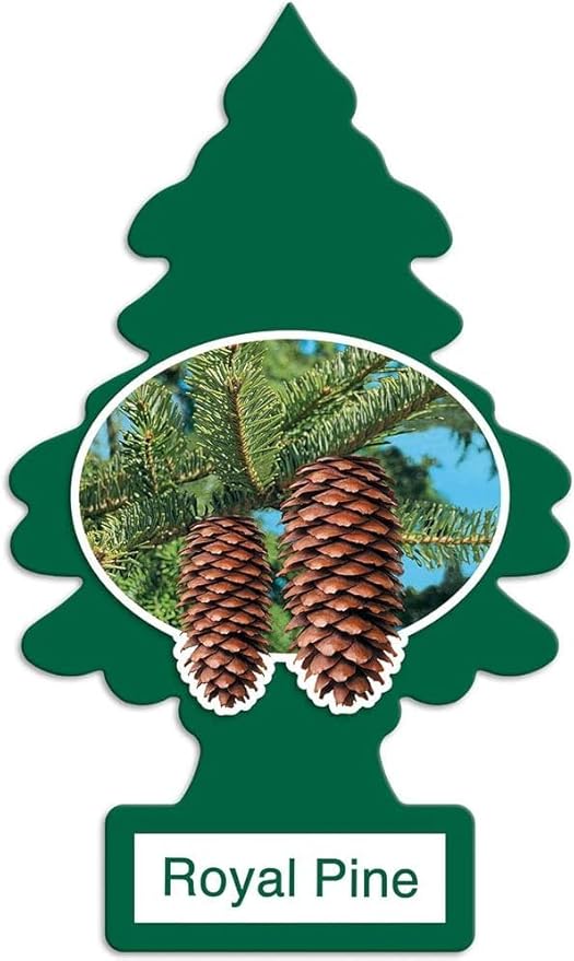 Super Variety Scent Pack of 12 Fresheners - 12 Different Masculine Super Variety Scents of Air Fresheners – Car, Trucks, RV, 