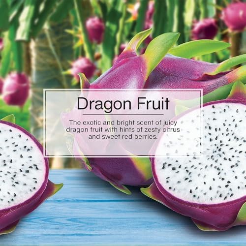 LITTLE TREES Car Air Freshener | Hanging Tree Provides Long Lasting Scent for Auto and Home | 24 Air Fresheners |Dragon Fruit
