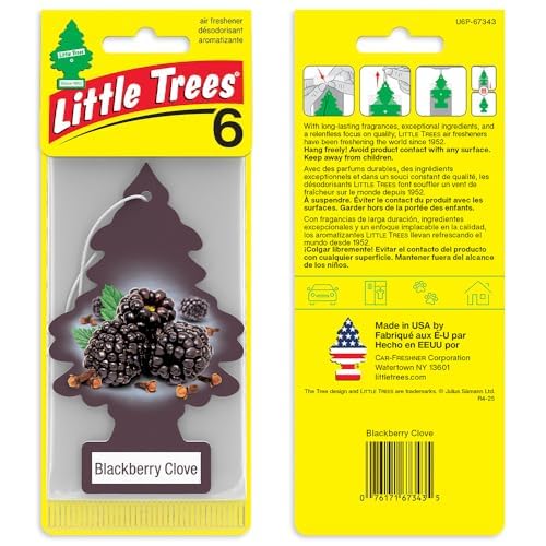 LITTLE TREES Car Air Freshener | Hanging Tree Provides Long Lasting Scent for Auto and Home | 24 Air Fresheners |Blackberry C