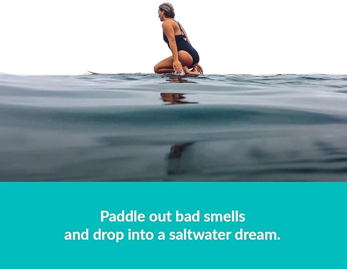 ulu Lagoon Hanging Car Air Freshener | Tropical Beach Coconut Surf Wax Scent Mini Wave | Long Lasting Car Freshener, Closet a