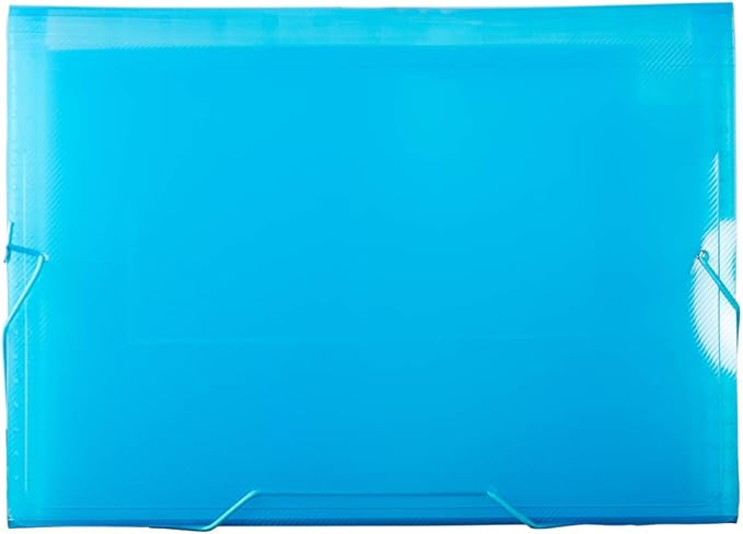 JAM PAPER Accordion Folders - 13 Pocket Plastic Expanding File - Letter Size - 9 x 13 - Blue Grid - Sold Individually