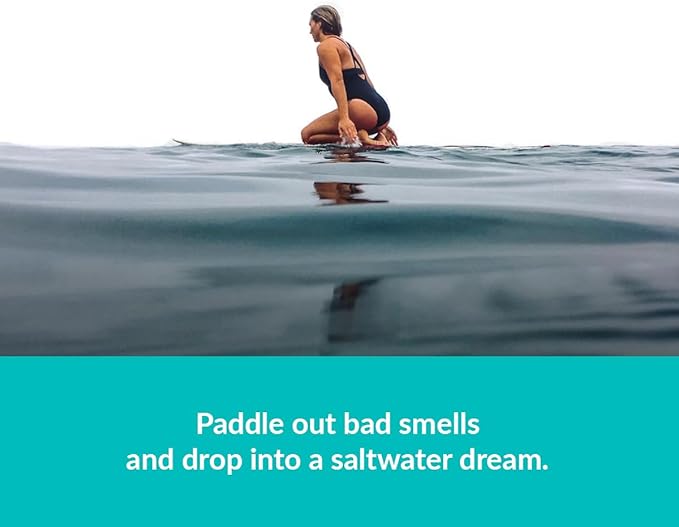 ulu Lagoon Hanging Car Air Freshener | Tropical Beach Coconut Surf Wax Scent Mini Wave | Long Lasting Car Freshener, Closet a