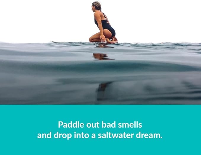 ulu Lagoon Hanging Car Air Freshener | Tropical Beach Coconut Surf Wax Scent Mini Wave | Long Lasting Car Freshener, Closet a