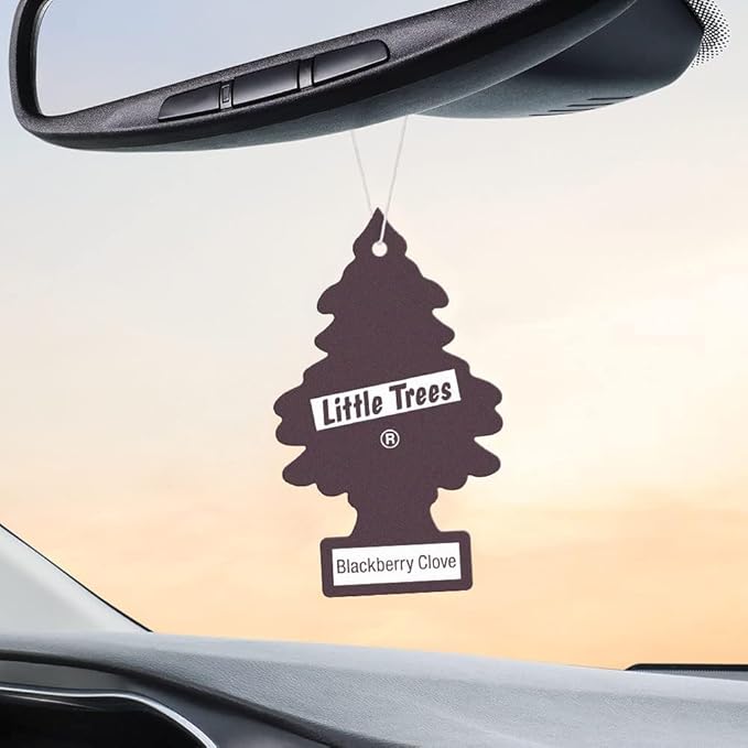 Little Trees Blackberry Clove Air Fresheners 12 Pack