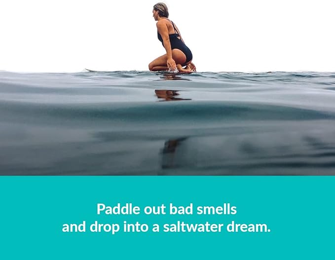 ulu Lagoon Hanging Car Air Freshener | Tropical Beach Coconut Surf Wax Scent Mini Wave | Long Lasting Car Freshener, Closet a