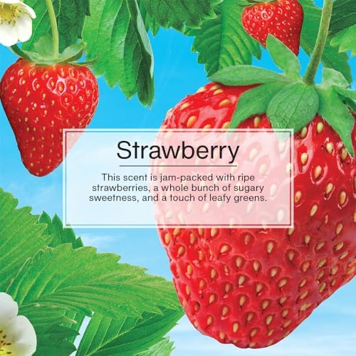 LITTLE TREES Car Air Freshener I Hanging Tree Provides Long Lasting Scent for Auto or Home I Strawberry, 6-Packs (4 Count)