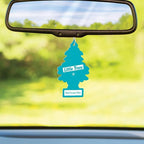 Little Trees Cardboard Hanging Car, Home & Office Air Freshener, Rainforest Mist (Pack of 12)