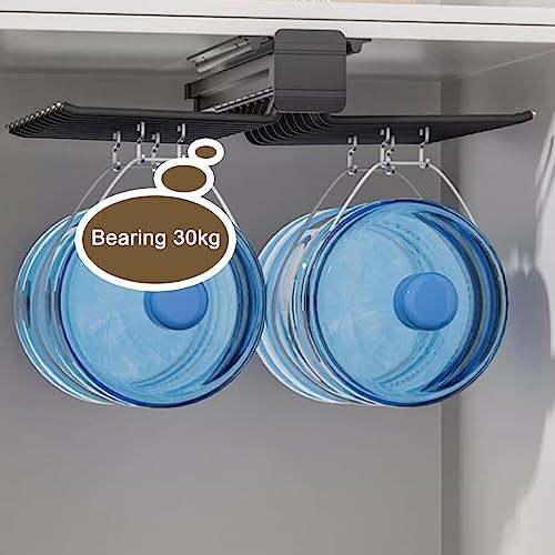 Pull-Out Clothes Rail,Extendable Pull Out Closet Rod, Bearing 30kg Pull-Out Clothes Rail, Aluminum Alloy Adjustable Valet Rod