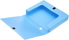 M&G File Organizer Box, Blue A4 Plastic Storage File Boxes File Folder Document Boxes Cabinet Archives Cases Boxes with Lid f