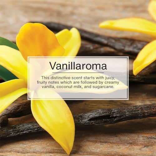 LITTLE TREES Car Air Freshener | Hanging Tree Provides Long Lasting Scent for Auto and Home | 24 Air Fresheners |Vanillaroma