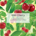 LITTLE TREES Car Air Freshener | Hanging Tree Provides Long Lasting Scent for Auto and Home | 24 Air Fresheners |Wild Cherry