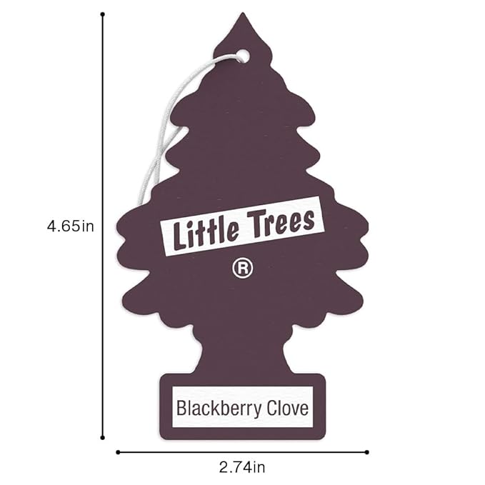 LITTLE TREES Car Air Freshener | Hanging Tree Provides Long Lasting Scent for Auto and Home | 24 Air Fresheners |Blackberry C