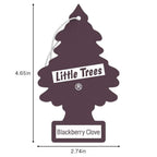 LITTLE TREES Car Air Freshener | Hanging Tree Provides Long Lasting Scent for Auto and Home | 24 Air Fresheners |Blackberry C