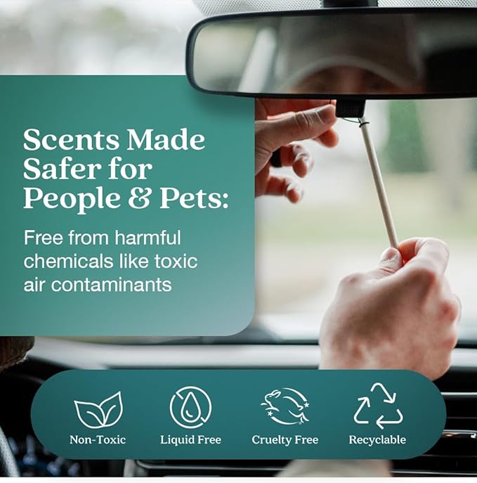Enviroscent Non-Toxic* Car Air Freshener Auto Stix® - Scents Made Safer - Enjoy Fragrance Lasts Up to 480 Days - Includes Aut