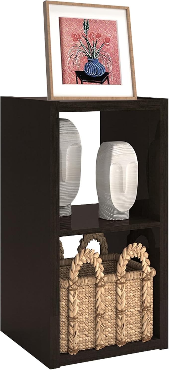 CTESNE【2026 Wooden Thick Frame 2 Cube Storage Organizer Shelf with Anti-Tipping Kits + Reversible Open Back Bookcase, Horizon