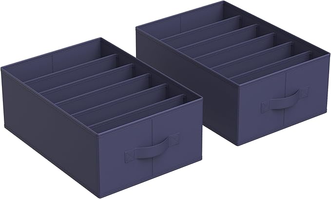 SONGMICS Set of 2 Large Size Wardrobe Clothes Organizers, 6-Compartment Foldable Drawer Organizers with Handles, 16.5 x 11.8 