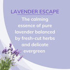 Citrus Magic Odor Absorbing Solid Air Freshener, Lavender Escape, 8 Ounce (Pack of 3)