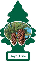 LITTLE TREES Car Air Freshener | Hanging Paper Tree for Home or Car | Royal Pine | 12 Pack