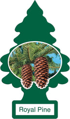 LITTLE TREES Car Air Freshener | Hanging Paper Tree for Home or Car | Royal Pine | 12 Pack