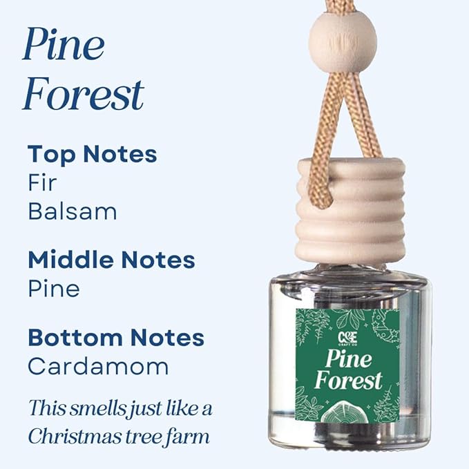 CE Craft Christmas Scented Car Air Freshener Diffuser, 4 Pack, 8ml Each, Up to 90 Days Refresher, Gift for Her