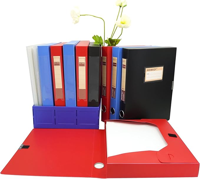 Foldable A4 Document Box, Pack of 4 Plastic Archive Cases with Lid, 31×24x4cm, File Folder Organizer Document Storage File Bo