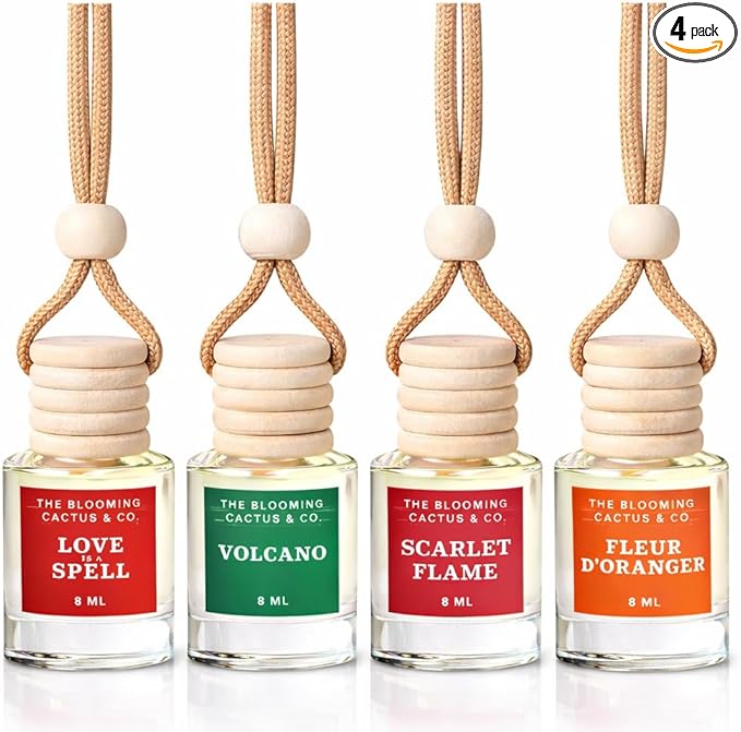 4 Pack Air fresheners | Long lasting car air fresheners, Hand-made in USA | Small room diffuser | Small Business Woman Owned.