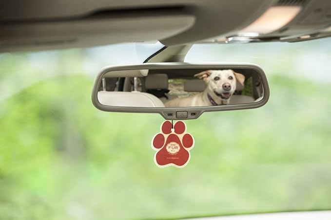 One Fur All Pet House Car Air Freshener - Variety Pack Pack of 4 - Non-toxic Car Air Freshener - Pet-Friendly Air Freshener F