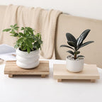 zoocatia Small Wood Tray Pedestal Stand Farmhouse Bathroom Decor Decorative Wooden Riser Kitchen Soap Dish Holder for Vanity,