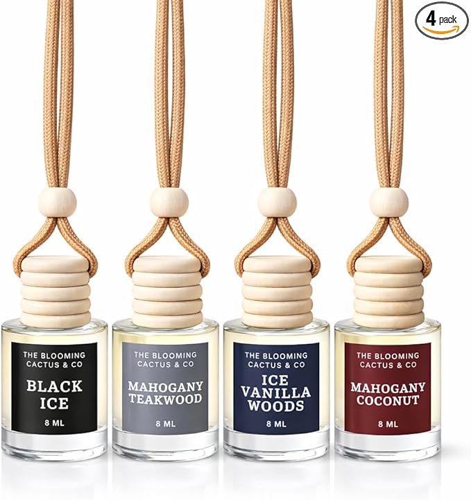 4 Pack Air fresheners | Long lasting car air fresheners, Hand-made in USA | Small room diffuser | Small Business Woman Owned.