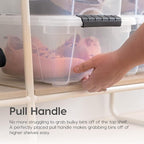 IRIS USA 32 Qt Stackable Plastic Storage Bins with Lids, 4 Pack - BPA-Free, Made in USA - See-Through Organizing Solution, La