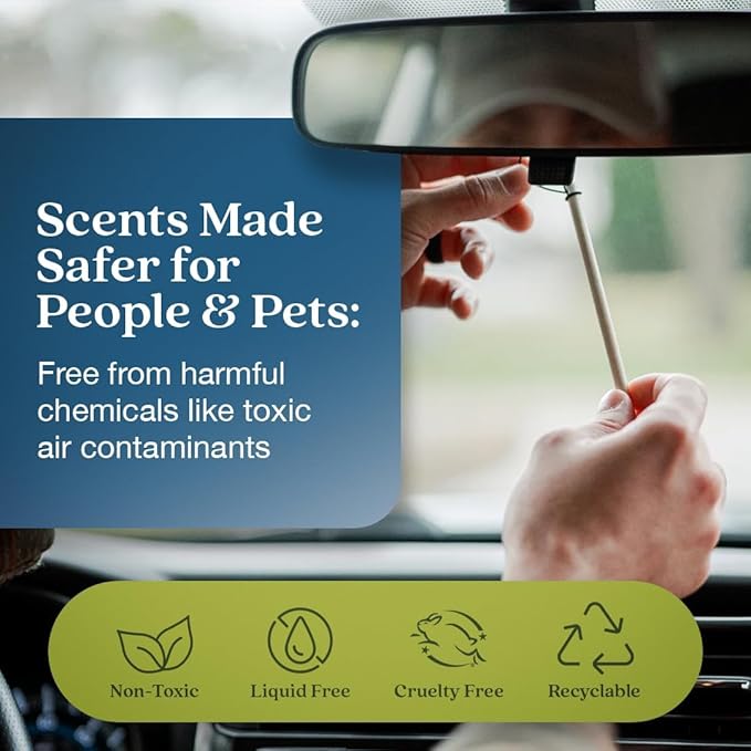 Enviroscent Non-Toxic* Car Air Freshener Auto Stix® - Scents Made Safer - Enjoy Fragrance Lasts Up to 480 Days - Includes Aut