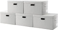 PRANDOM Large Collapsible Storage Containers with Lids [5-Pack] Fabric Foldable Storage Bins Boxes Organizer Baskets Cube wit
