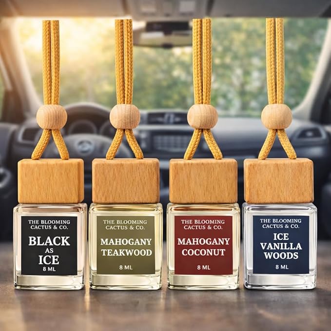 4 Pack Air fresheners | Long lasting car air fresheners, Hand-made in USA | Small room diffuser | Small Business Woman Owned.