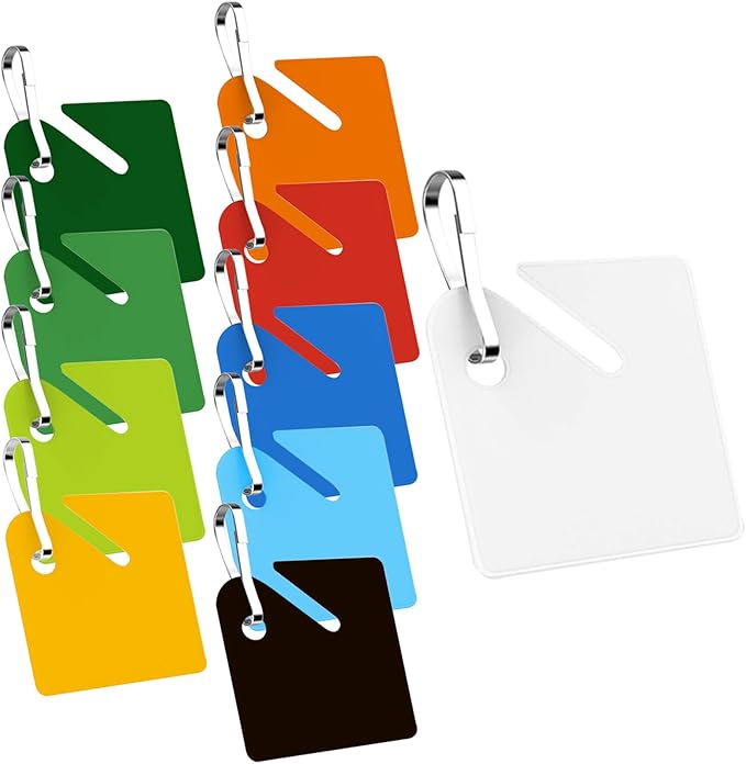 KAKAMINA 100 Pcs Colored Key Tags Plastic Hanging Tags with Metal Snap Hooks, Tags for Slotted Key Cabinets Boxes Lockers for