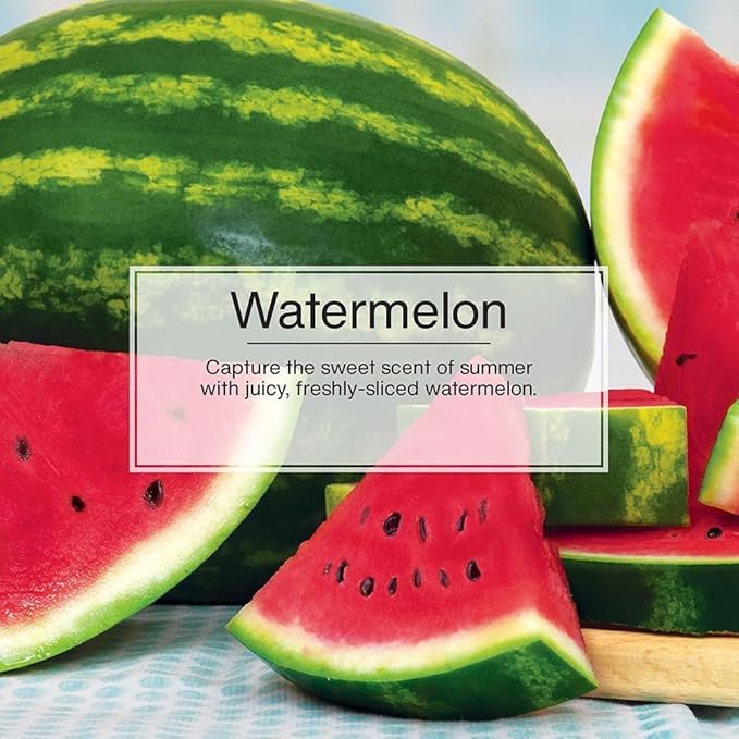 LITTLE TREES Car Air Freshener | Vent Wrap Provides Long Lasting Scent, Invisibly Fresh | 16 Air Fresheners | Watermelon