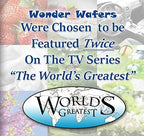 Wonder Wafers 25 CT Individually Wrapped Fresh Lemon Air Fresheners