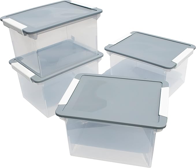 Storex Portable File Tote with Locking Handles, Letter/Legal Files, 18.5" X 14.25" X 10.88", Clear/Silver